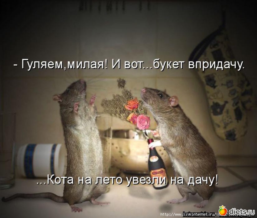 Пей гуляй веселись. Гулять прикол. Пятничная мышка. Мышь гуляет. Гуляем фото прикольные.