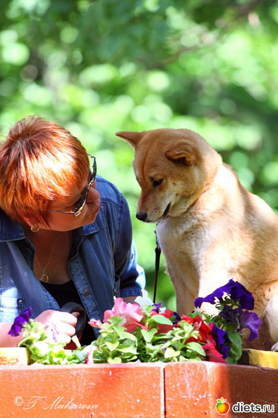 1 ����: � � ��� ����