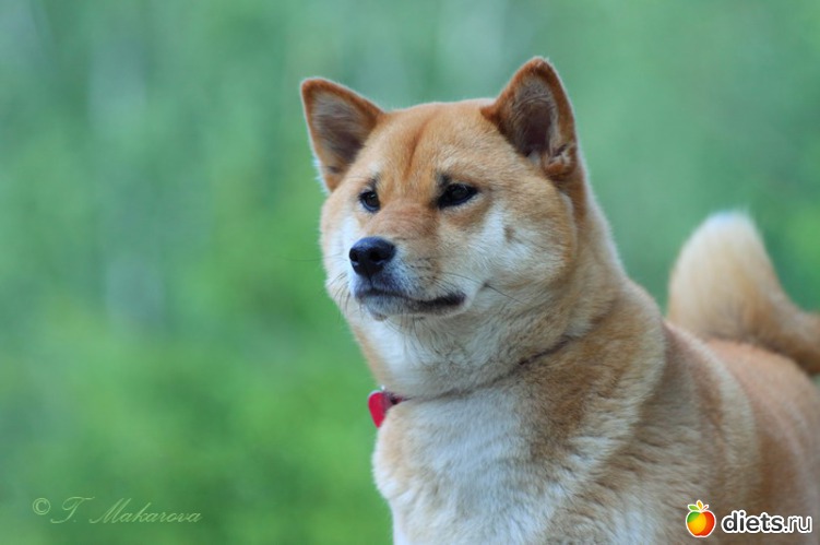 2 ����: � � ��� ����