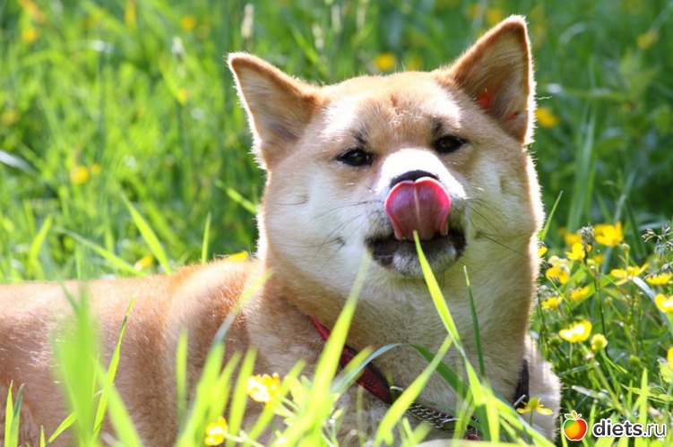 3 ����: � � ��� ����