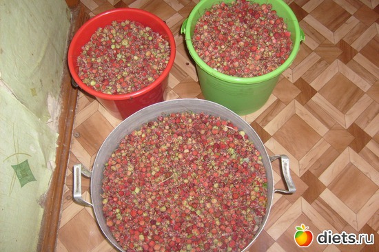 15 фото: 22 июня - день рождения мужа. Да, это великий памятный день, день скорби, но что поделаешь, родились мы и поздравляют все друзья, соседи....