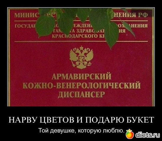 5 фото: Юмор