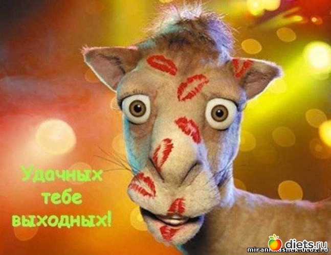 1 фото: привет