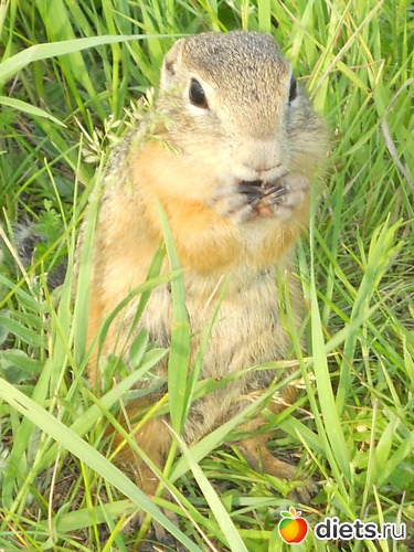 9 ����: ���� ��� ���������