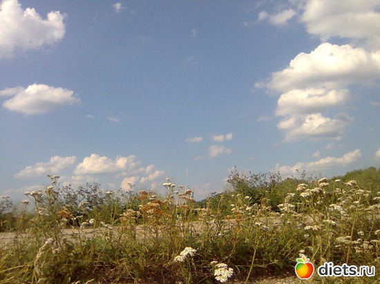 ������ ����, ������: �������