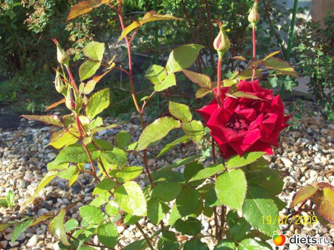 2 ����: ������� ����