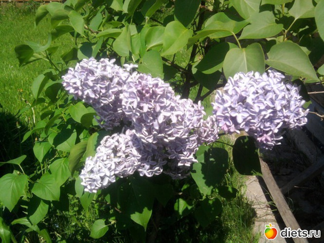 5 ����: ������� ����