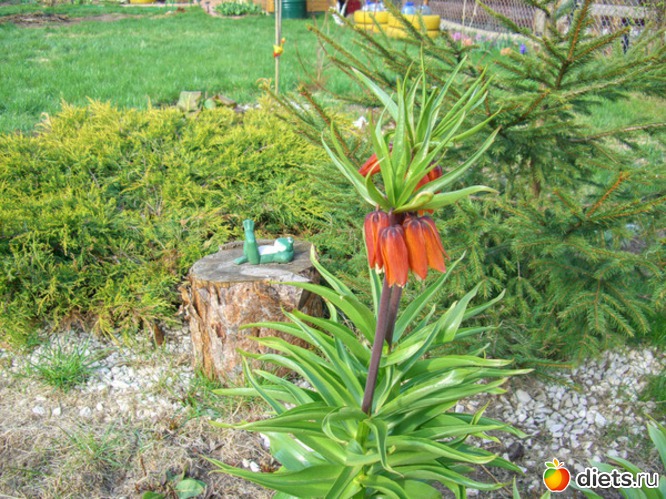 6 ����: ������� ����