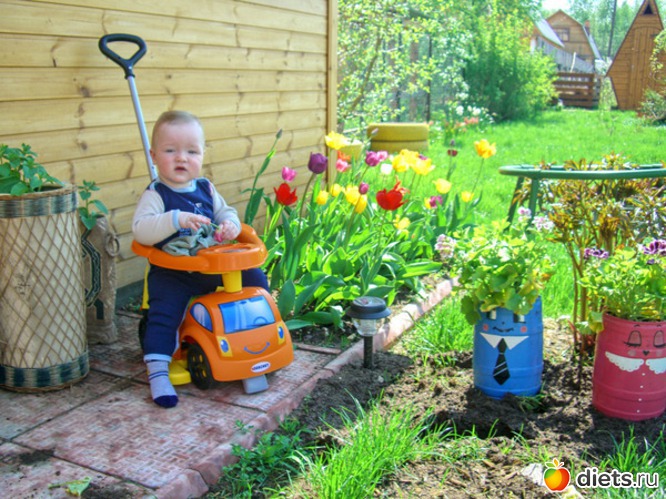 7 ����: ������� ����