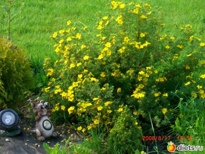 10 ����: ������� ����