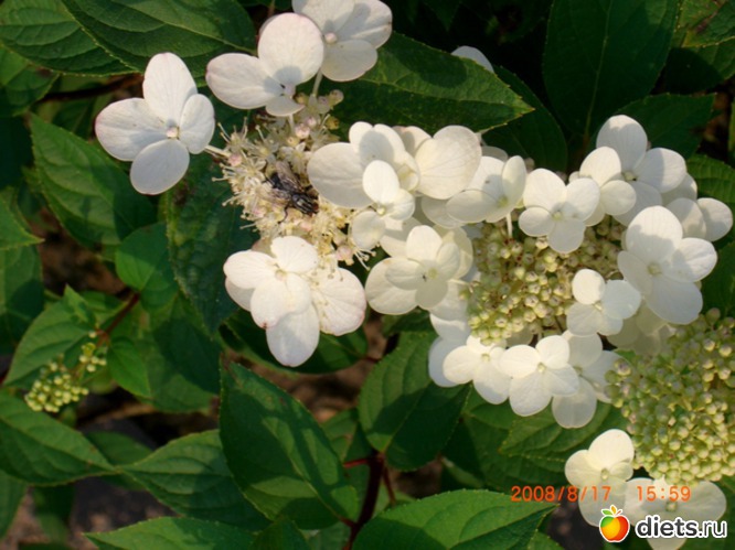 11 ����: ������� ����