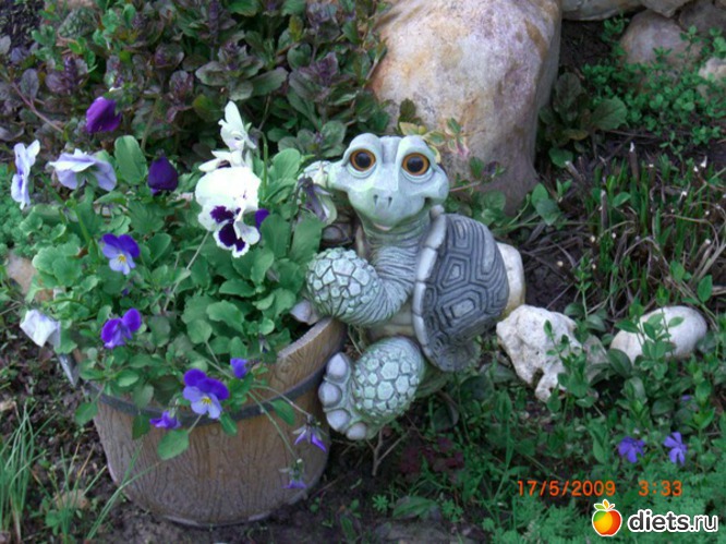 12 ����: ������� ����