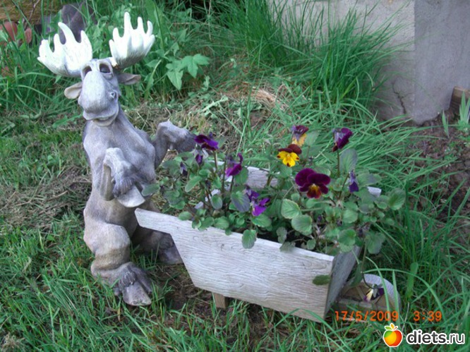 13 ����: ������� ����