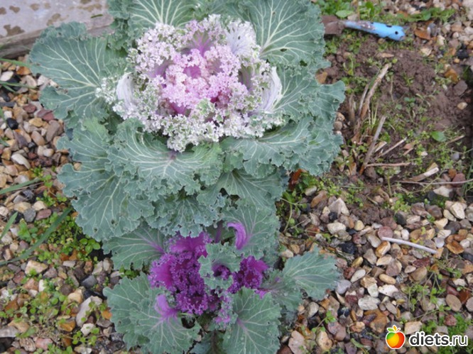 14 ����: ������� ����