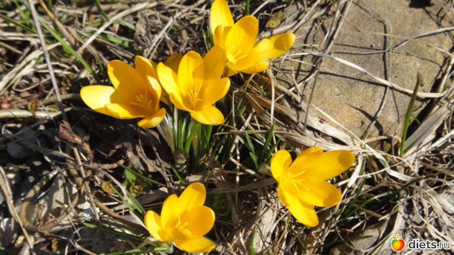 16 ����: ������� ����