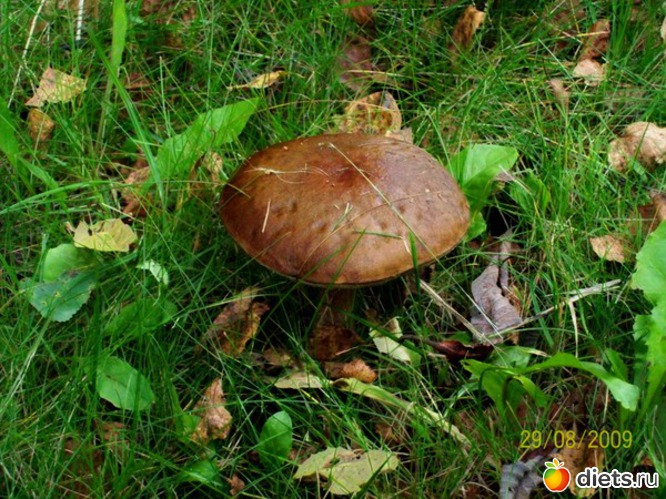 24 ����: ������� ����