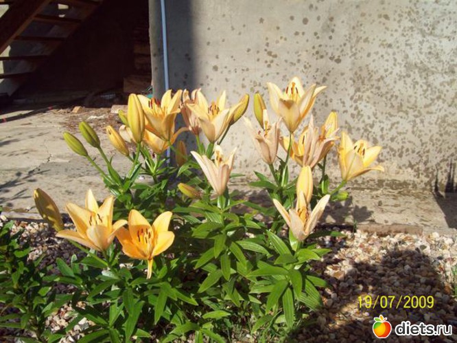 30 ����: ������� ����