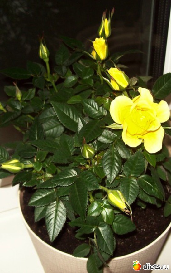 3 ����: ��� �����