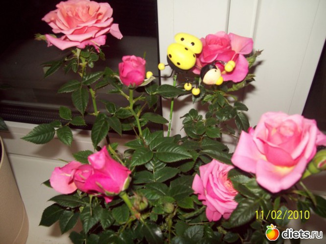 6 ����: ��� �����