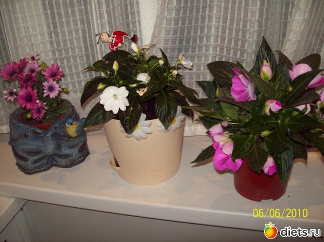 8 ����: ��� �����