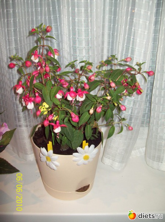 9 ����: ��� �����