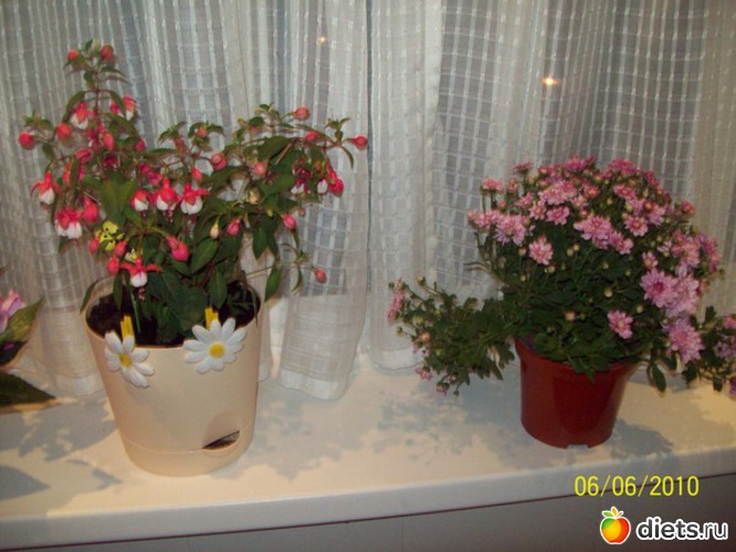 10 ����: ��� �����