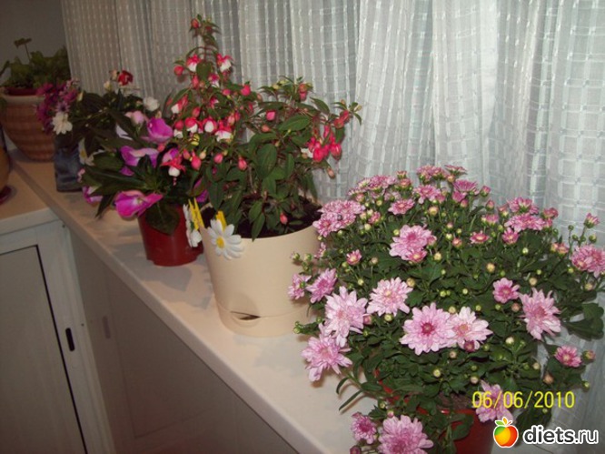 11 ����: ��� �����