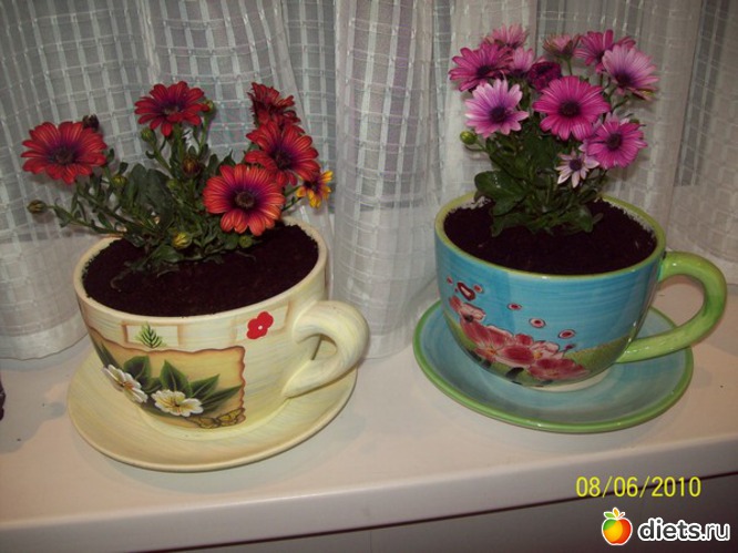 12 ����: ��� �����