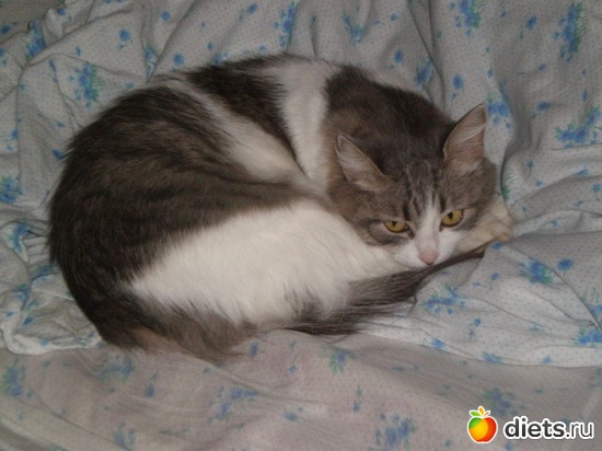 1 ����: ����