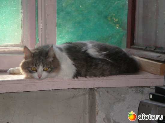 2 ����: ����