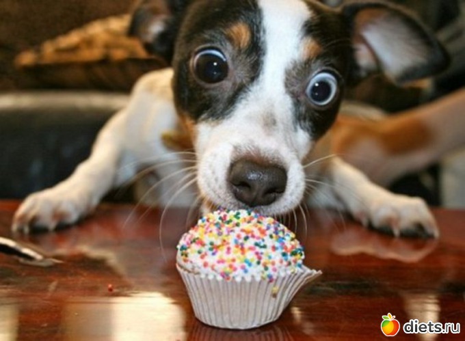 7 ����: ������� ����