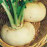 turnip \репа