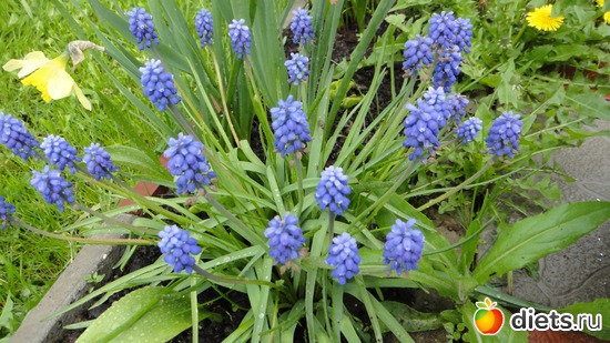 42 ����: ������� ����