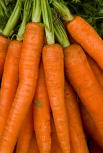 Красна девица морковка