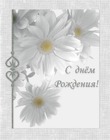 Открытки