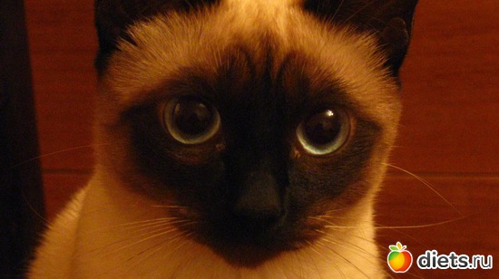 1 ����: ����