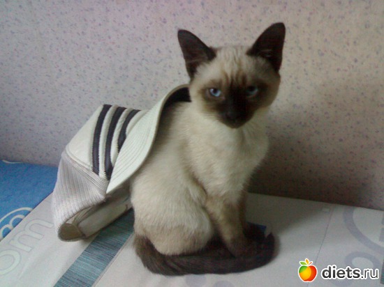 2 ����: ����