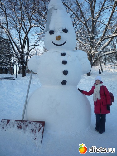 10 ����: ���������