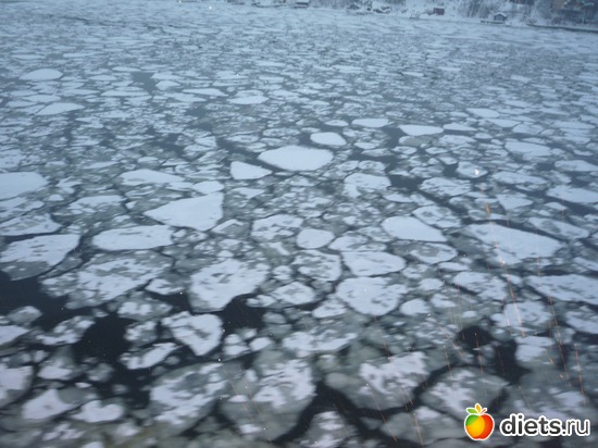 19 ����: ���������