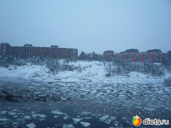 ������ ���������, ������: ���������