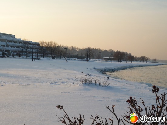 35 ����: ���������