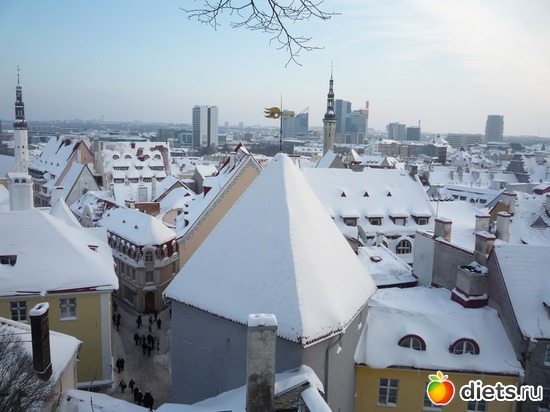 ������-��������, ������: ���������