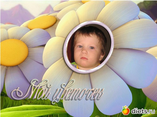 ��� �������, ������: ��� �����