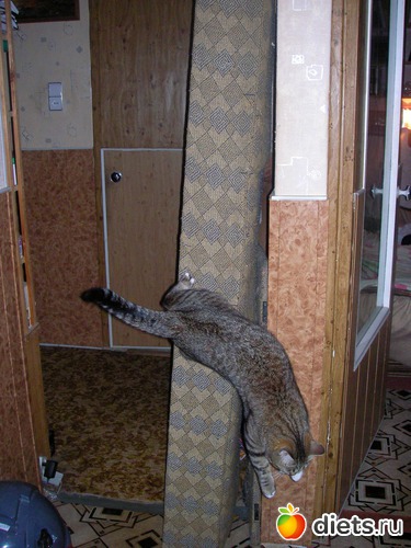 Соскочил!, альбом: Коток Ластик.