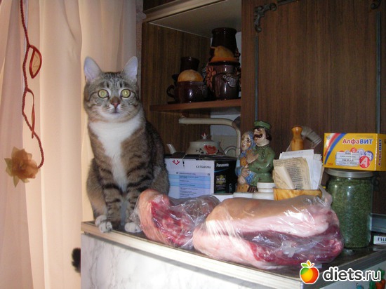 Так, сейчас я этот кусок спрячу!, альбом: Коток Ластик.