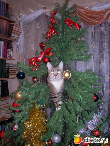 Большая елочная игрушка., альбом: Коток Ластик.