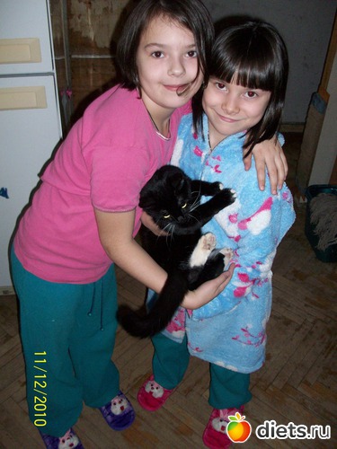 11 ����: ��