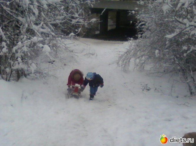 6 ����: ��� ������� �����