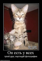 Отчёт за 06.03.11