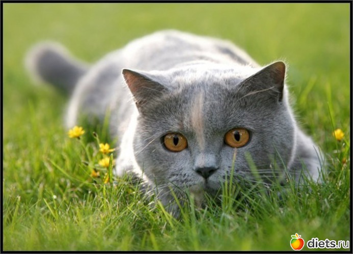 3 ����: ����